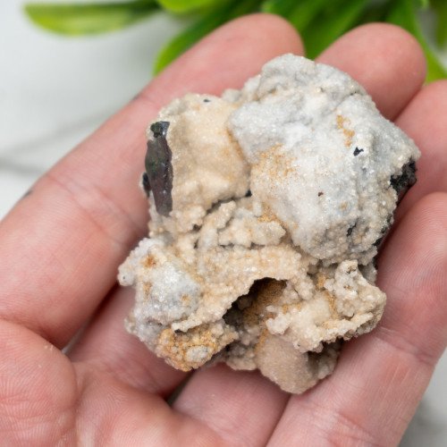 Galena on Calcite #1