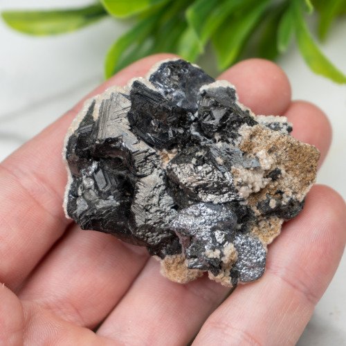 Galena on Calcite #1