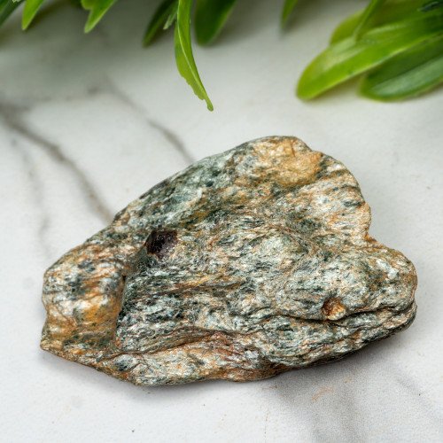 Garnet in Schist #2