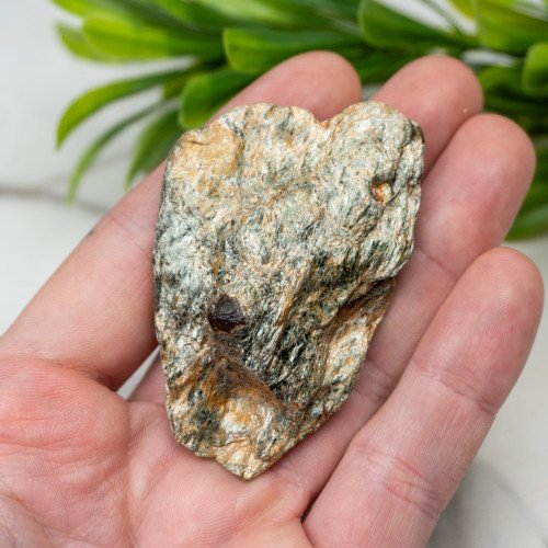 Garnet in Schist #2
