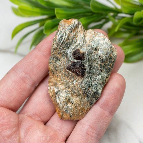 Garnet in Schist #2