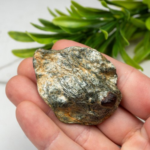 Garnet in Schist #1