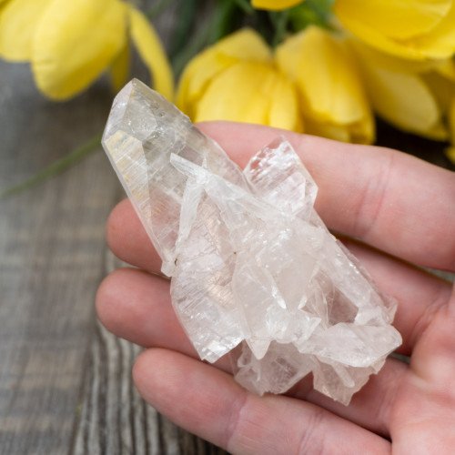 Mangano Calcite (Crystallized) #1