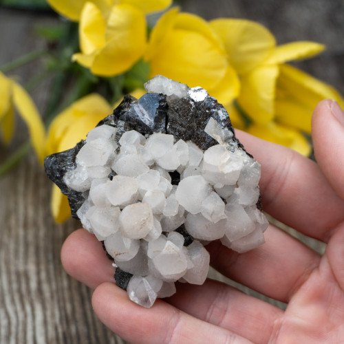 Mangano Calcite on Galena #2