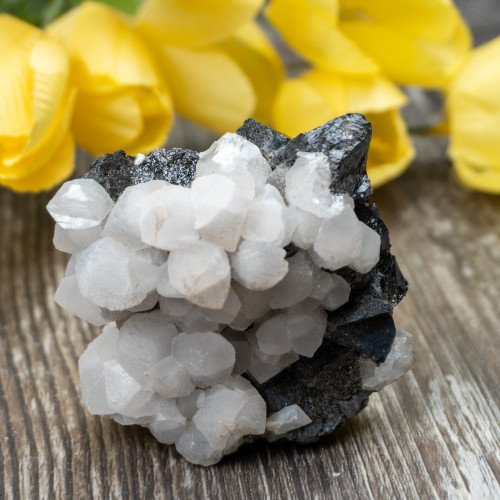 Mangano Calcite on Galena #2