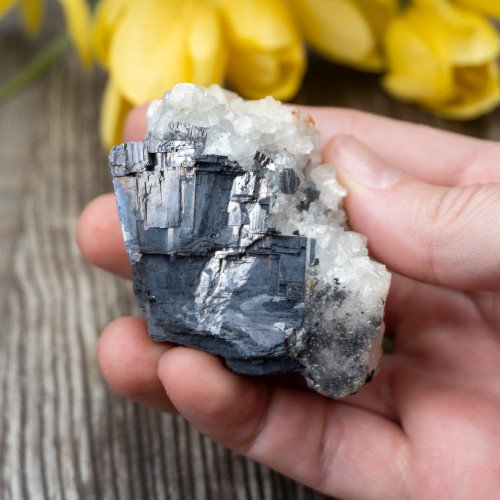 Mangano Calcite on Galena #1