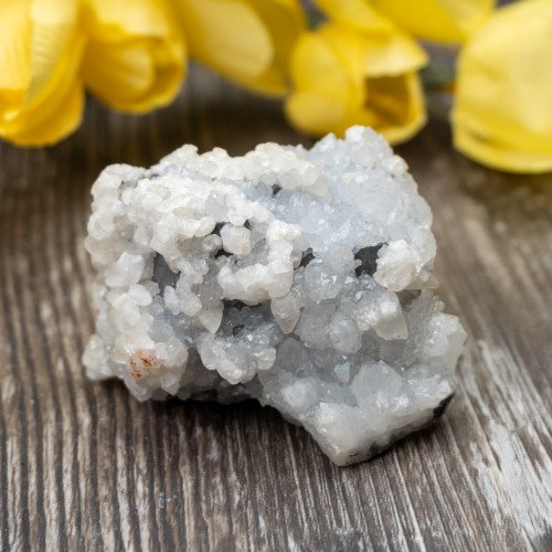 Mangano Calcite on Galena #1