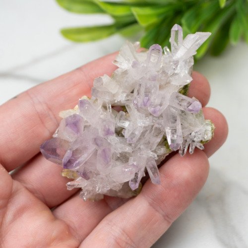 Vera Cruz Amethyst with Epidote #1