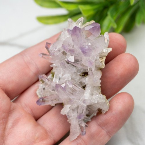 Vera Cruz Amethyst with Epidote #1