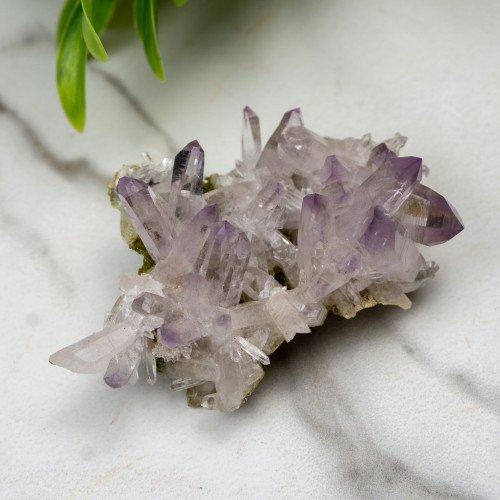 Vera Cruz Amethyst with Epidote #1