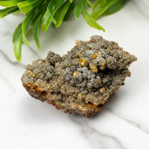 Wulfenite on Mottramite #1