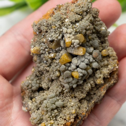 Wulfenite on Mottramite #1