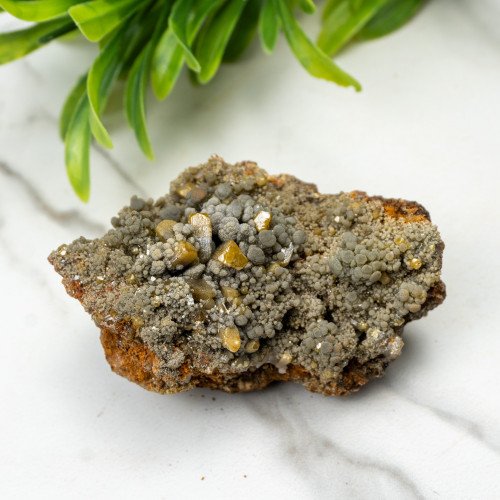 Wulfenite on Mottramite #1