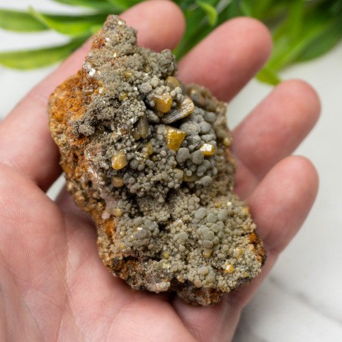 Wulfenite on Mottramite #1