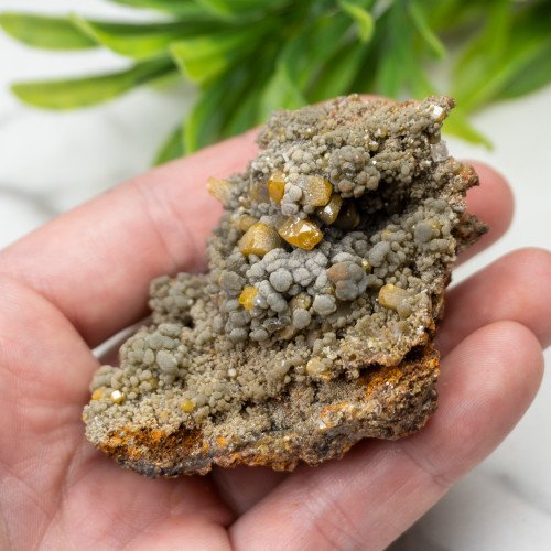 Wulfenite on Mottramite #1