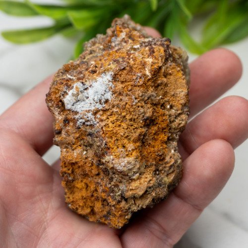 Wulfenite on Mottramite #1
