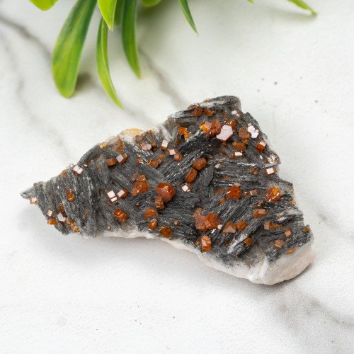 Vanadinite on Black Barite #1