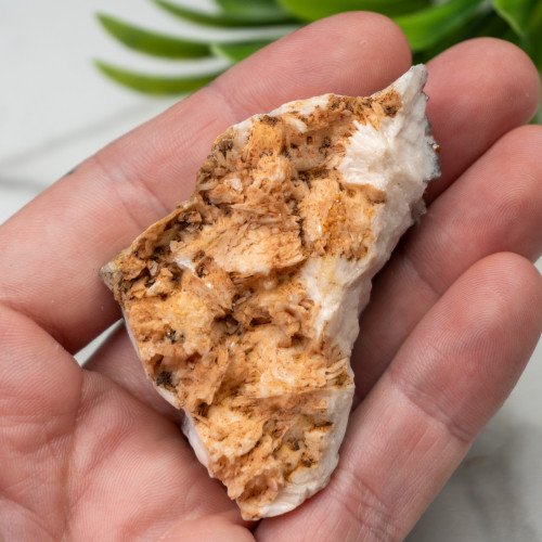 Vanadinite on Black Barite #1