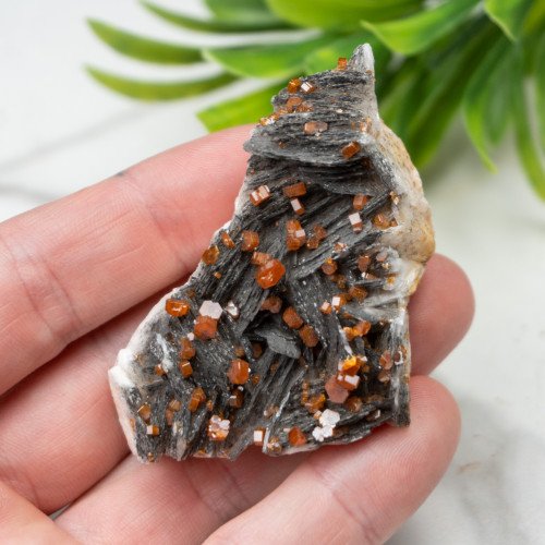 Vanadinite on Black Barite #1
