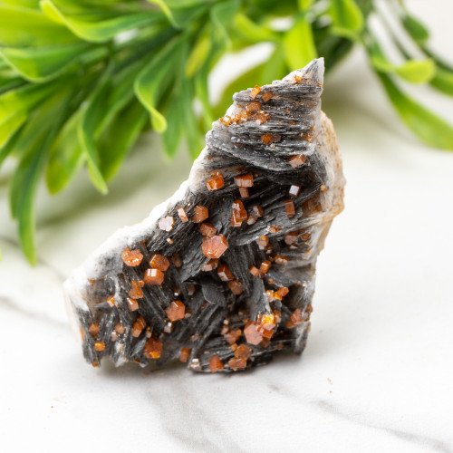 Vanadinite on Black Barite #1