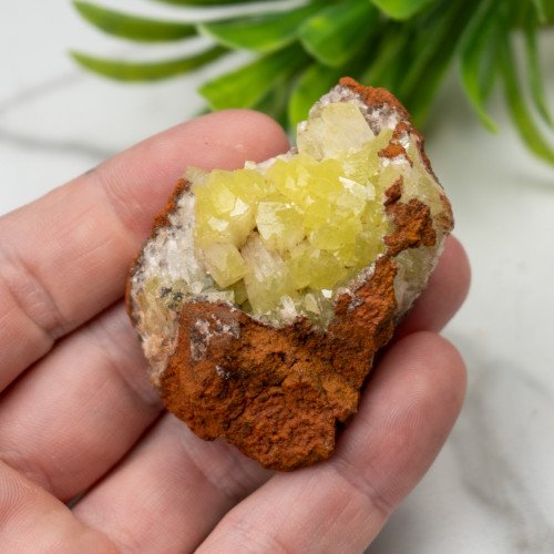 Adamite on Limonite #1