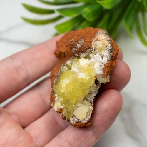 Adamite on Limonite #1
