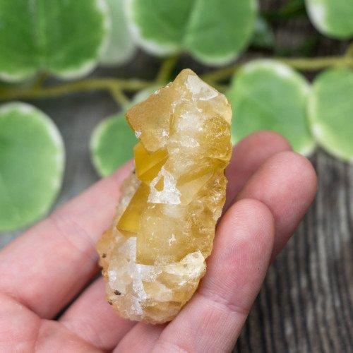 Yellow Fluorite #1