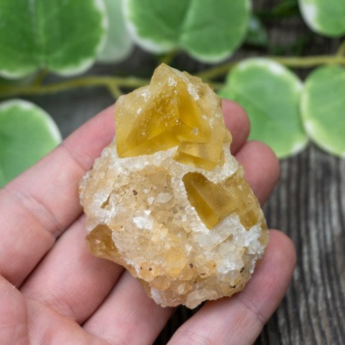 Yellow Fluorite #1