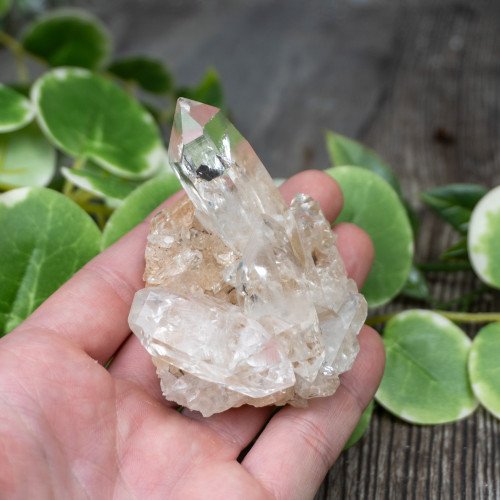 Quartz (Double Terminated) Cluster #1