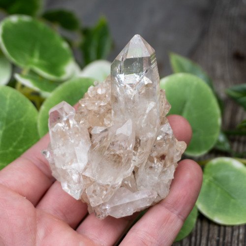 Quartz (Double Terminated) Cluster #1