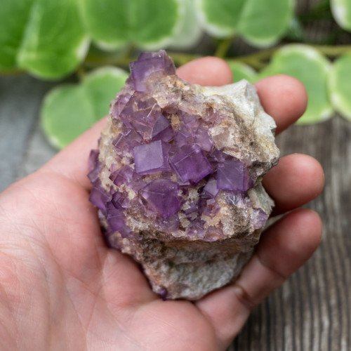 Purple Fluorite on Matrix #3