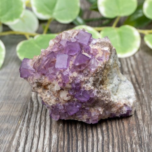 Purple Fluorite on Matrix #3