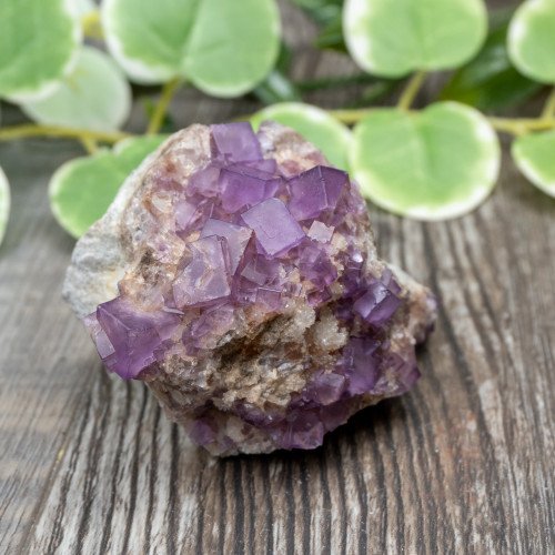 Purple Fluorite on Matrix #3