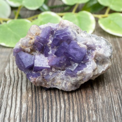 Purple Fluorite on Matrix #2