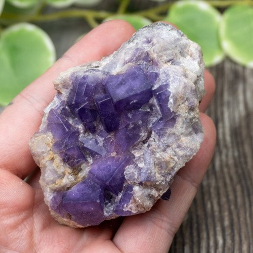 Purple Fluorite on Matrix #2