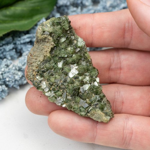 Ludlamite #10
