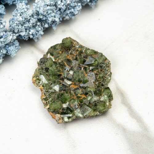Ludlamite #9