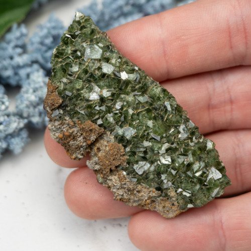 Ludlamite #8