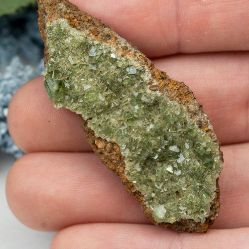 Ludlamite #7
