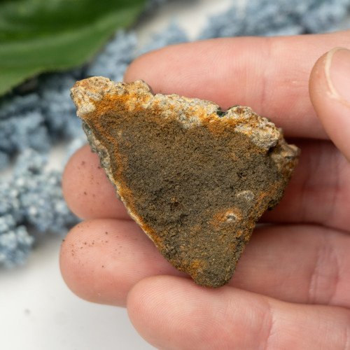 Ludlamite #6