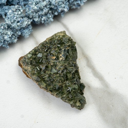 Ludlamite #6