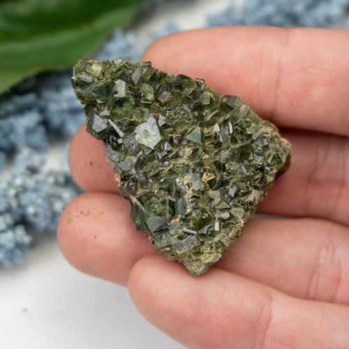 Ludlamite #6