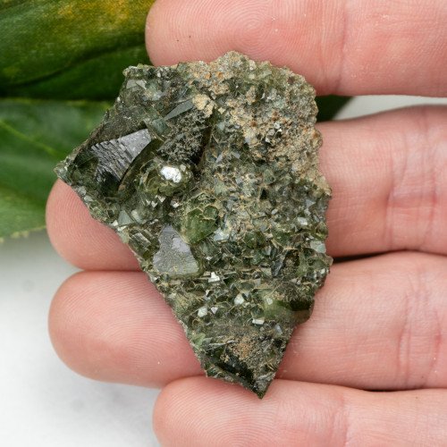 Ludlamite #5