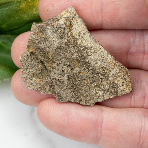 Ludlamite #5