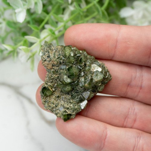 Ludlamite #3