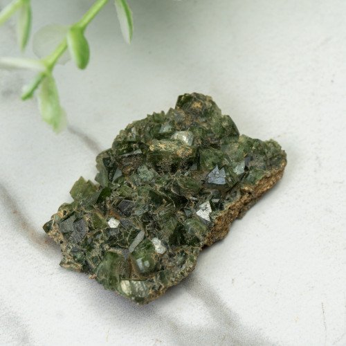Ludlamite #2