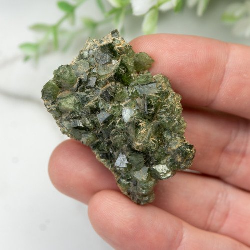 Ludlamite #2