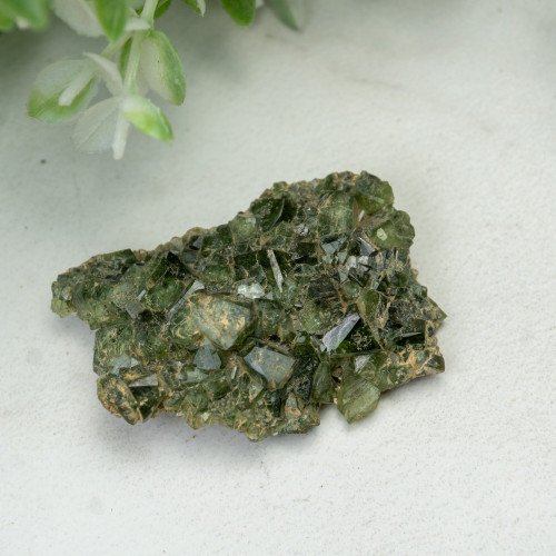 Ludlamite #2