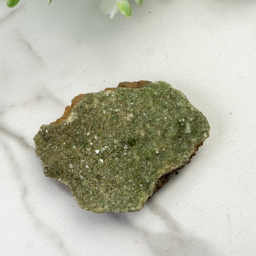 Ludlamite #1