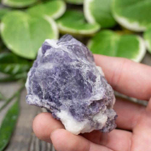 Purple Scapolite #1